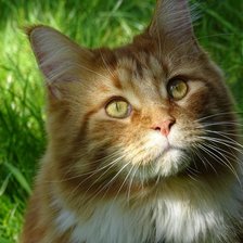 Схема вышивки «33»