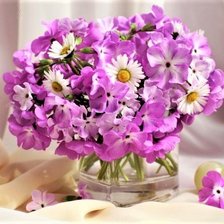 Схема вышивки «ФЛОКСЫ»