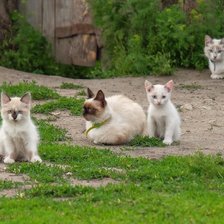 Схема вышивки «Семья на прогулке»