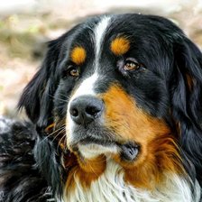 Схема вышивки «34»