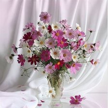 Схема вышивки «КОСМЕЯ»