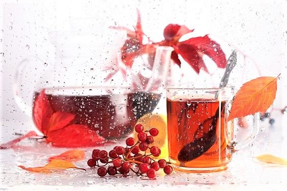 ОСЕНИЙ  НАТЮРМОРТ - осений натюрморт - оригинал