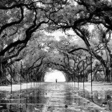 Схема вышивки «Аллея»