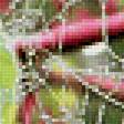 Предпросмотр схемы вышивки «Паутина на рябине» (№1648228)