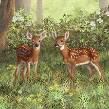 Схема вышивки «оленята»