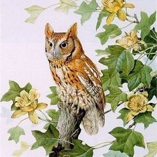 Схема вышивки «сова»