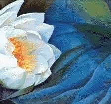 Схема вышивки «Белый лотос 2»