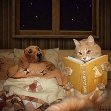 Схема вышивки «41»