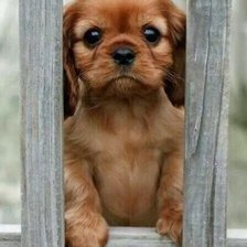 Схема вышивки «42»