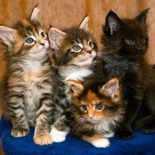 Схема вышивки «Коллектив»