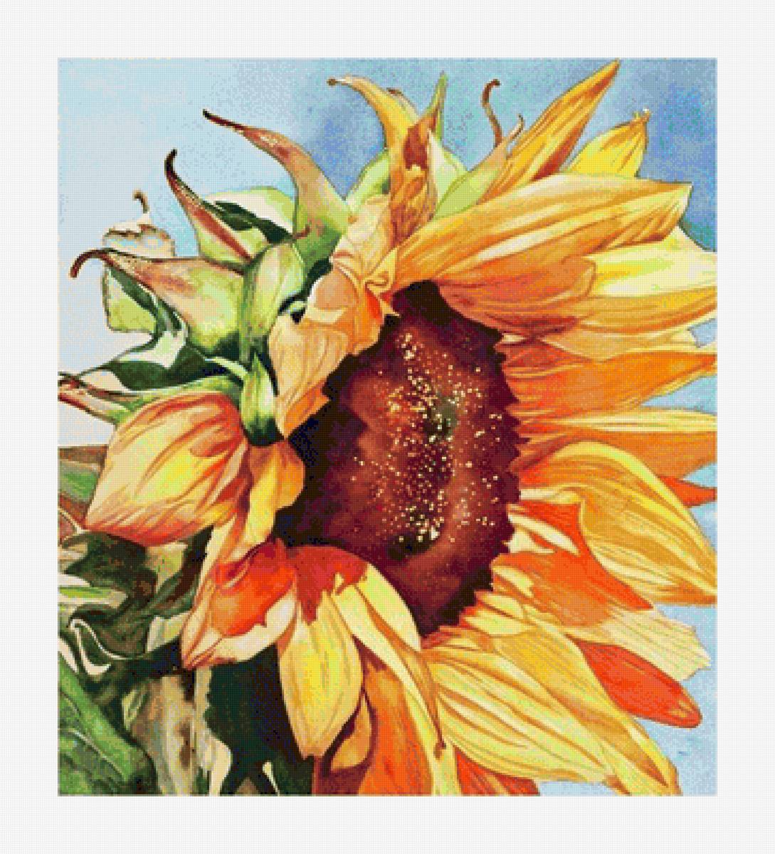 №1649055 - предпросмотр