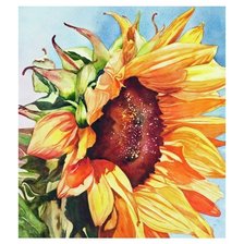 Схема вышивки «№1649055»