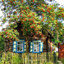 Схема вышивки «49»