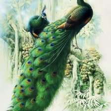 Схема вышивки «павлины»