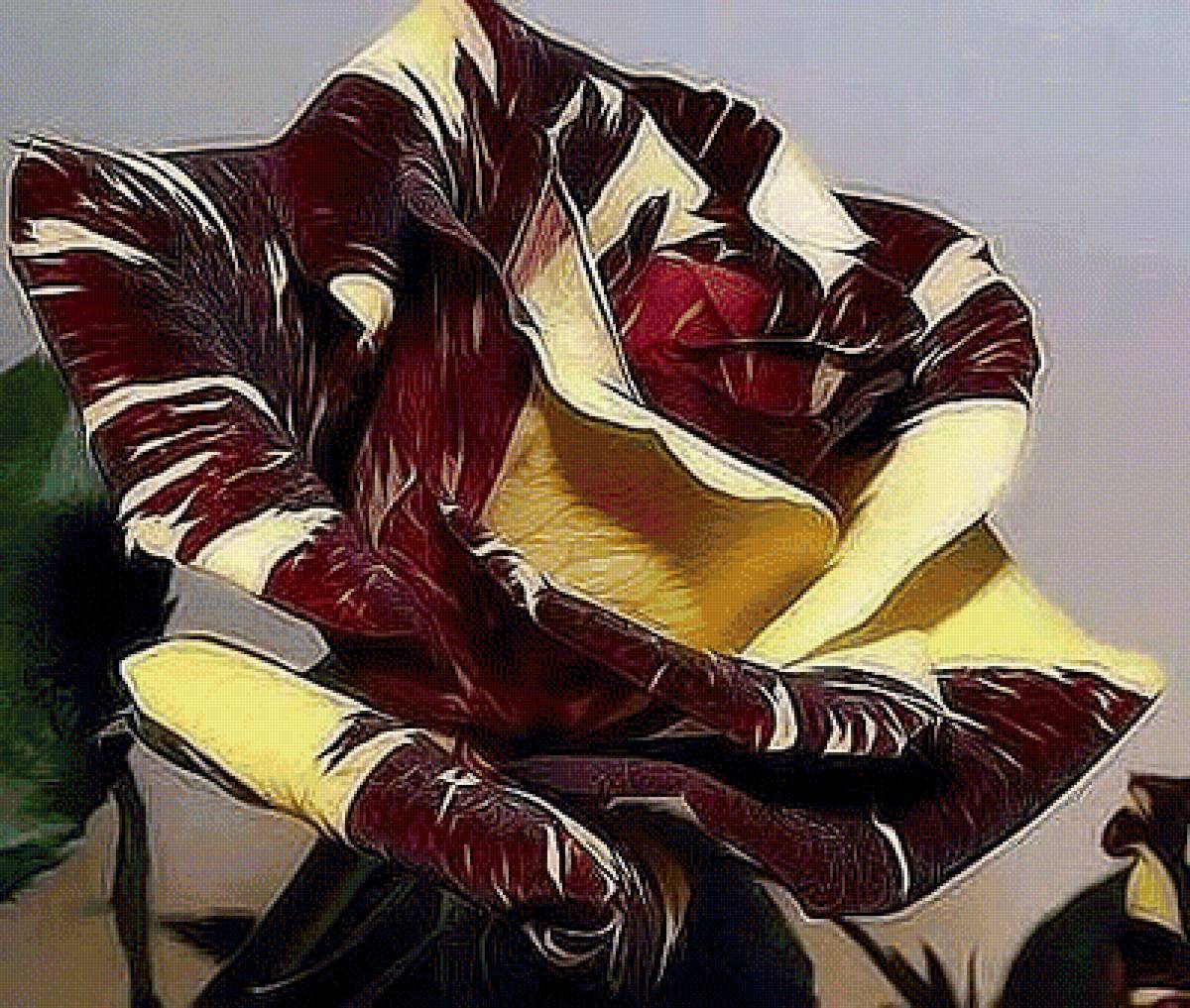 Роза - цветы - предпросмотр