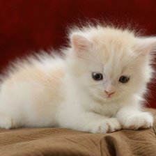 Схема вышивки «57»