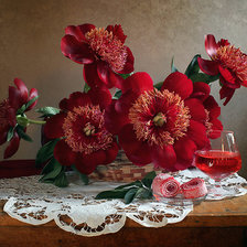 Схема вышивки «пионы2»