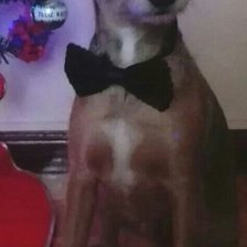 Схема вышивки «Reyes1»