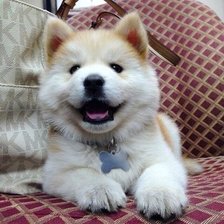 Схема вышивки «58»