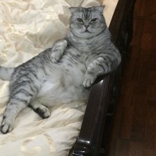 Схема вышивки «59»