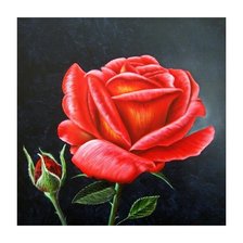 Схема вышивки «№1649807»