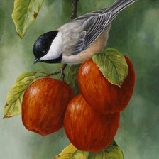 Схема вышивки «яблоки»