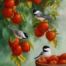 Схема вышивки «Яблоки»