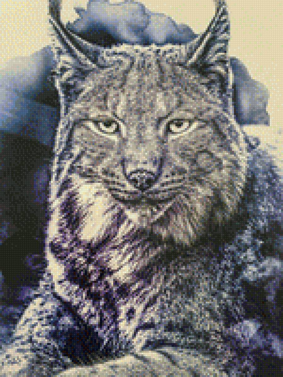 Рысь - животные, рысь - предпросмотр