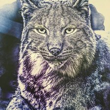 Схема вышивки «Рысь»