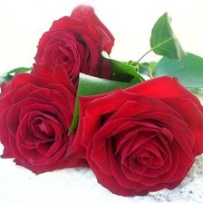 Схема вышивки «Розы»