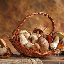 Схема вышивки «грибочки в корзине»