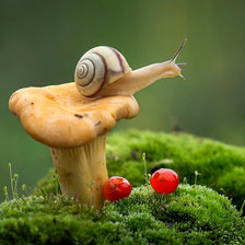 Схема вышивки «улитка на грибочке»