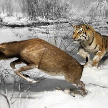 Схема вышивки «охота»