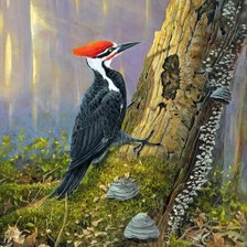 Схема вышивки «дятел»