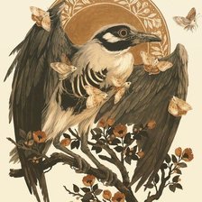 Схема вышивки «645645»