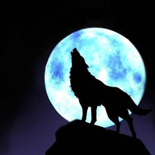 Схема вышивки «волк»