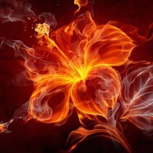 Схема вышивки «огненный цветок»