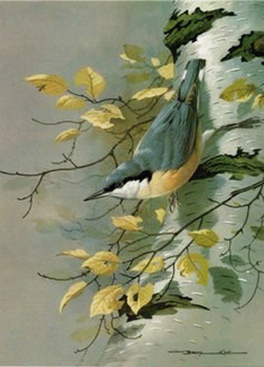 синичка на березе - природа, пейзаж, осень - предпросмотр