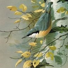 синичка на березе