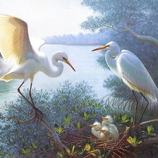 Схема вышивки «гнездо»