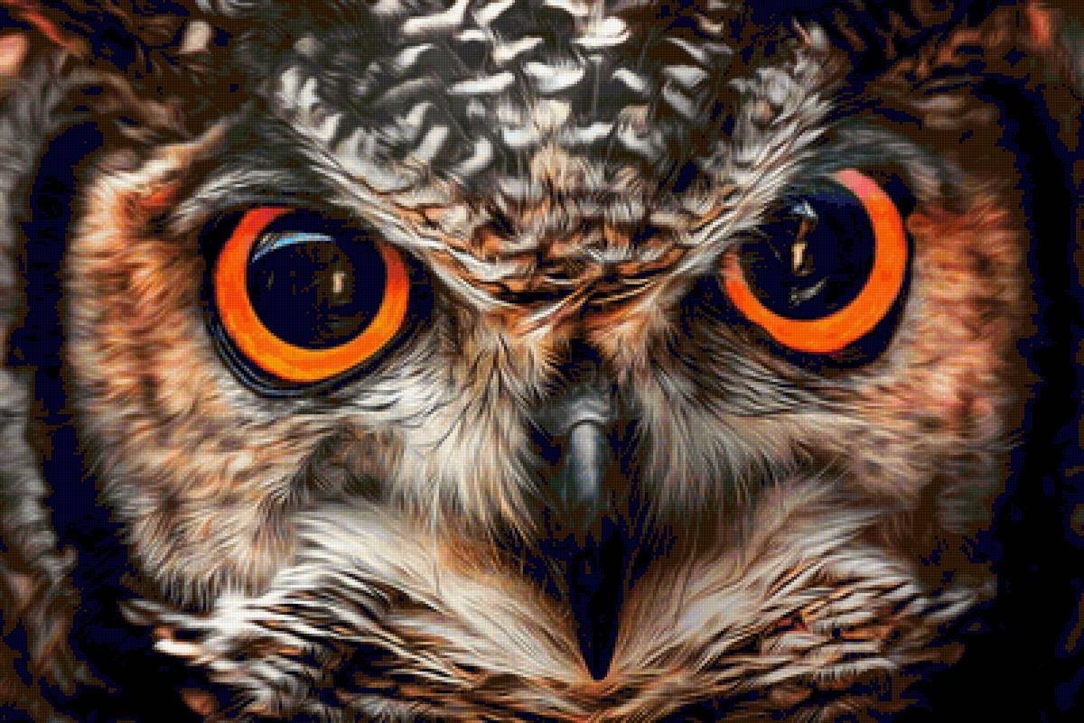 Совенок - глаза, животные, сова - предпросмотр