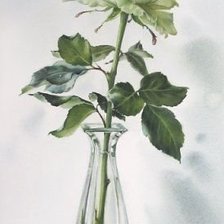 Схема вышивки «№1650645»