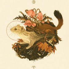 Схема вышивки «343434»