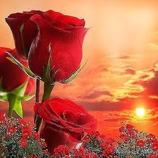 Схема вышивки «Розовый закат»