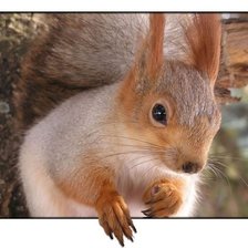 Схема вышивки «№1651023»