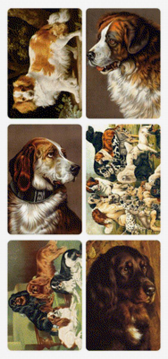 Sobaki - предпросмотр