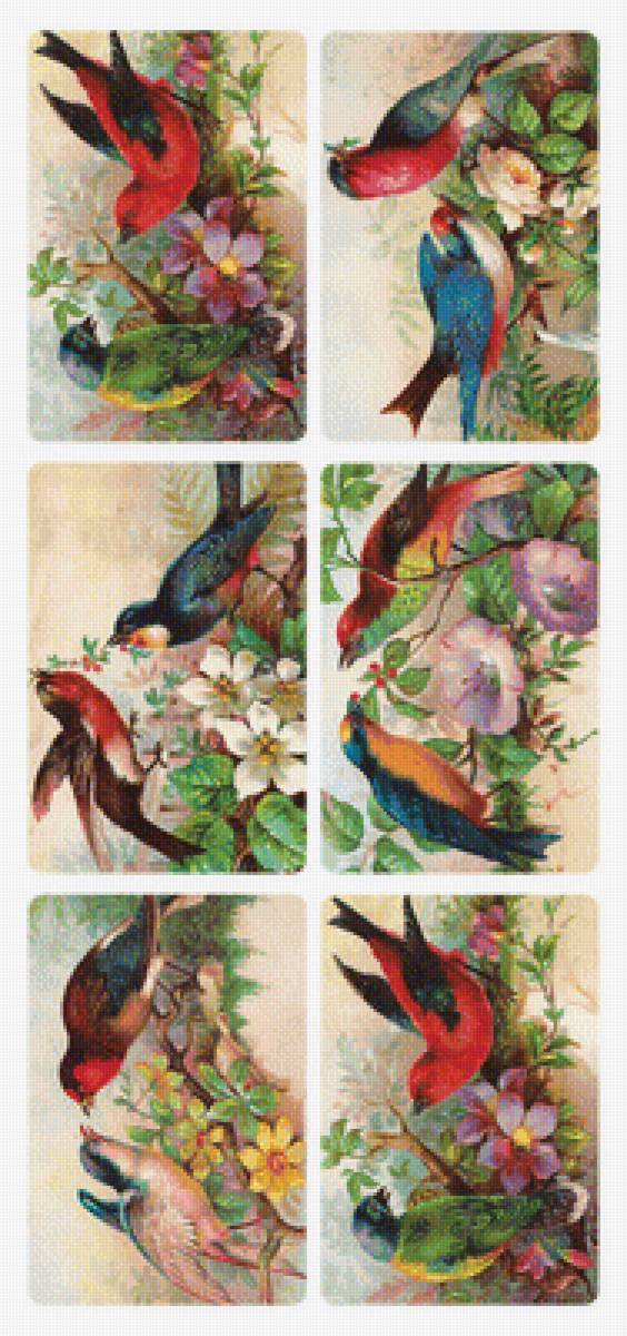 Ptici - предпросмотр