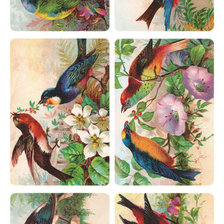 Схема вышивки «Ptici»