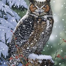 Схема вышивки «филин»