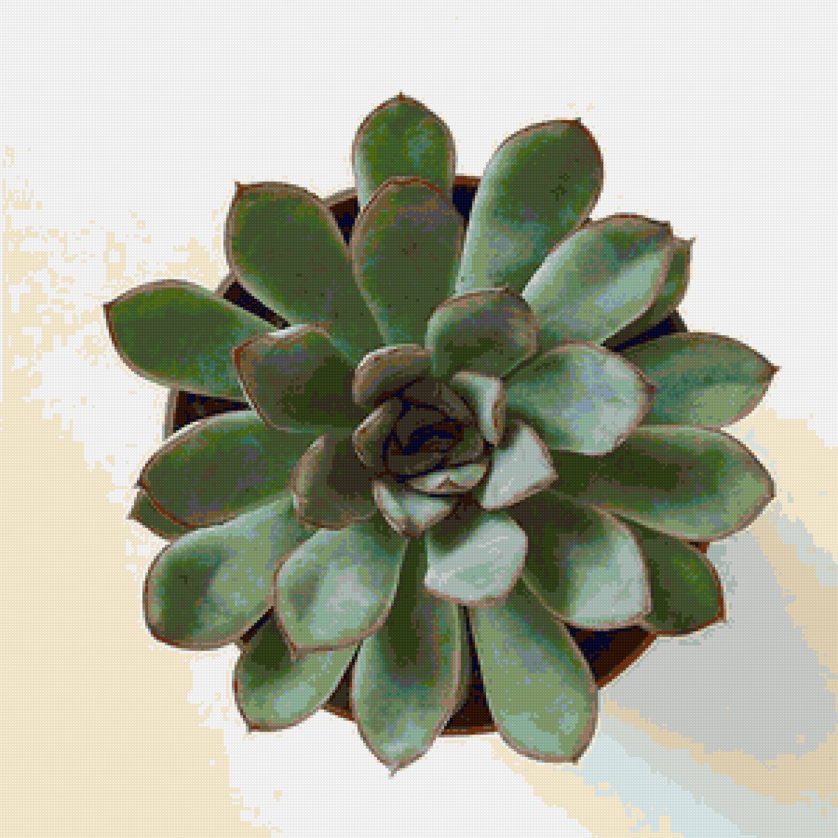 cerrektyn - предпросмотр